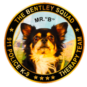 K-9 Group